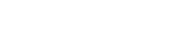 WP Motor Logo